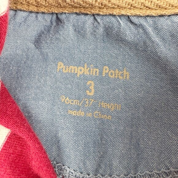 Pumpkin Patch Henley Hoodie Boys Size 3 Red White Striped Hooded T-Shirt Rock - Picture 8 of 12